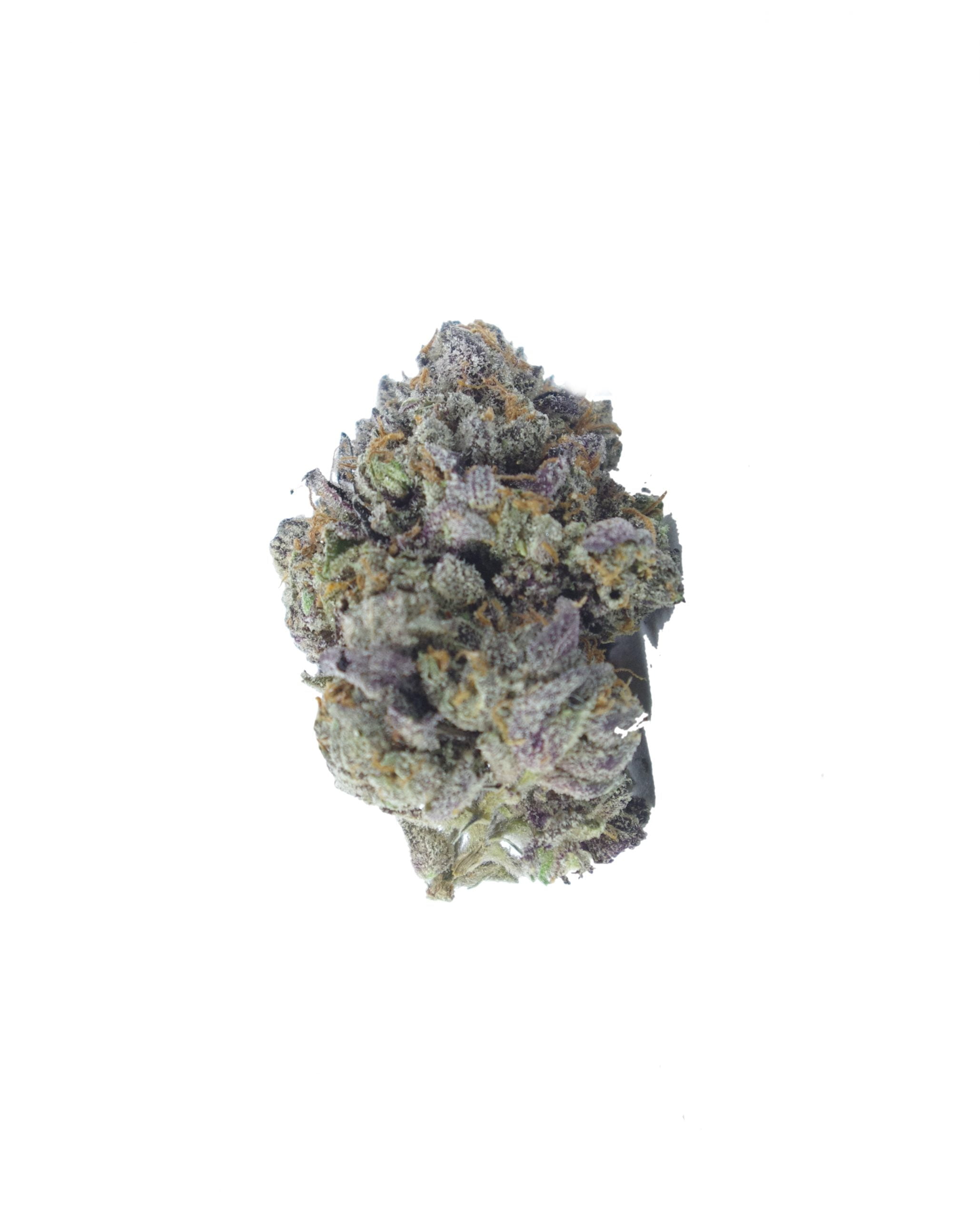 lizard bud scaled Lizard Kush Oz Special