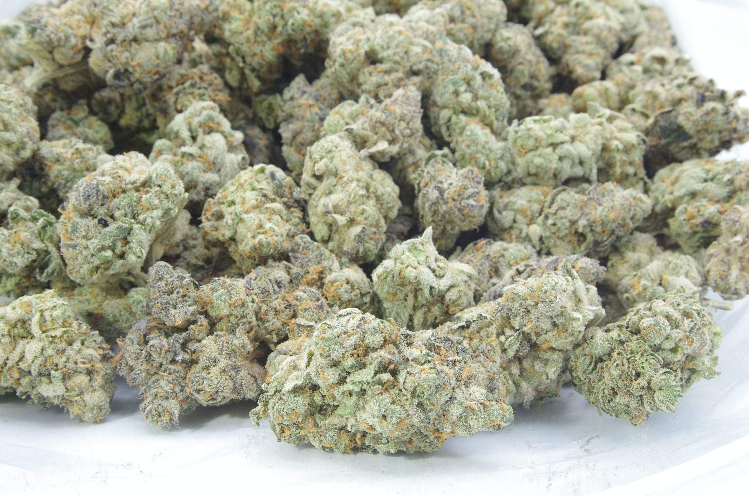 mendo breath bag scaled Mendo Breath (Oz Special)