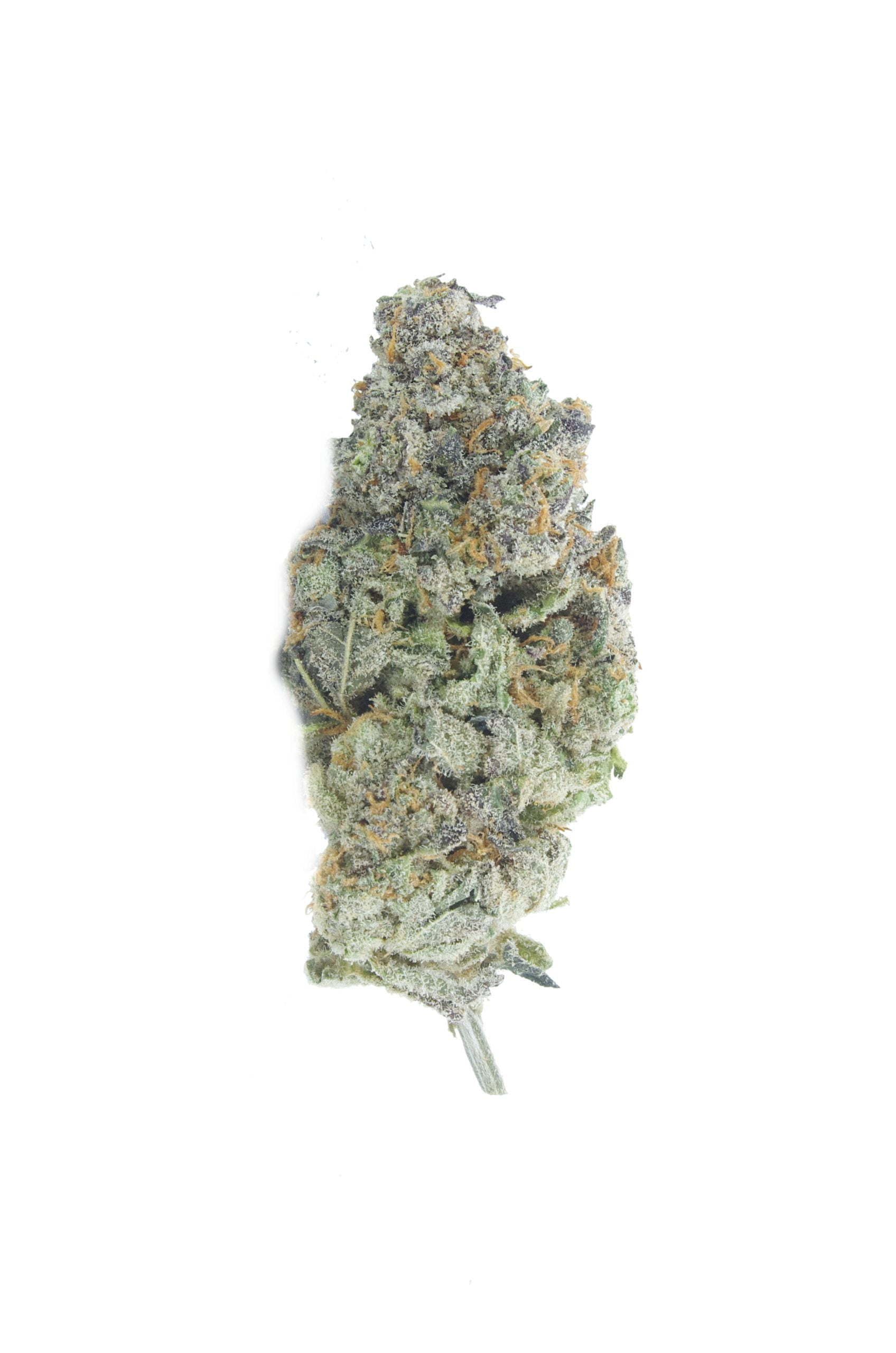 mendo breath bud scaled Mendo Breath (Oz Special)