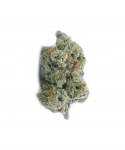 buy Peach Tree online