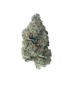 buy pre-98 bubba online