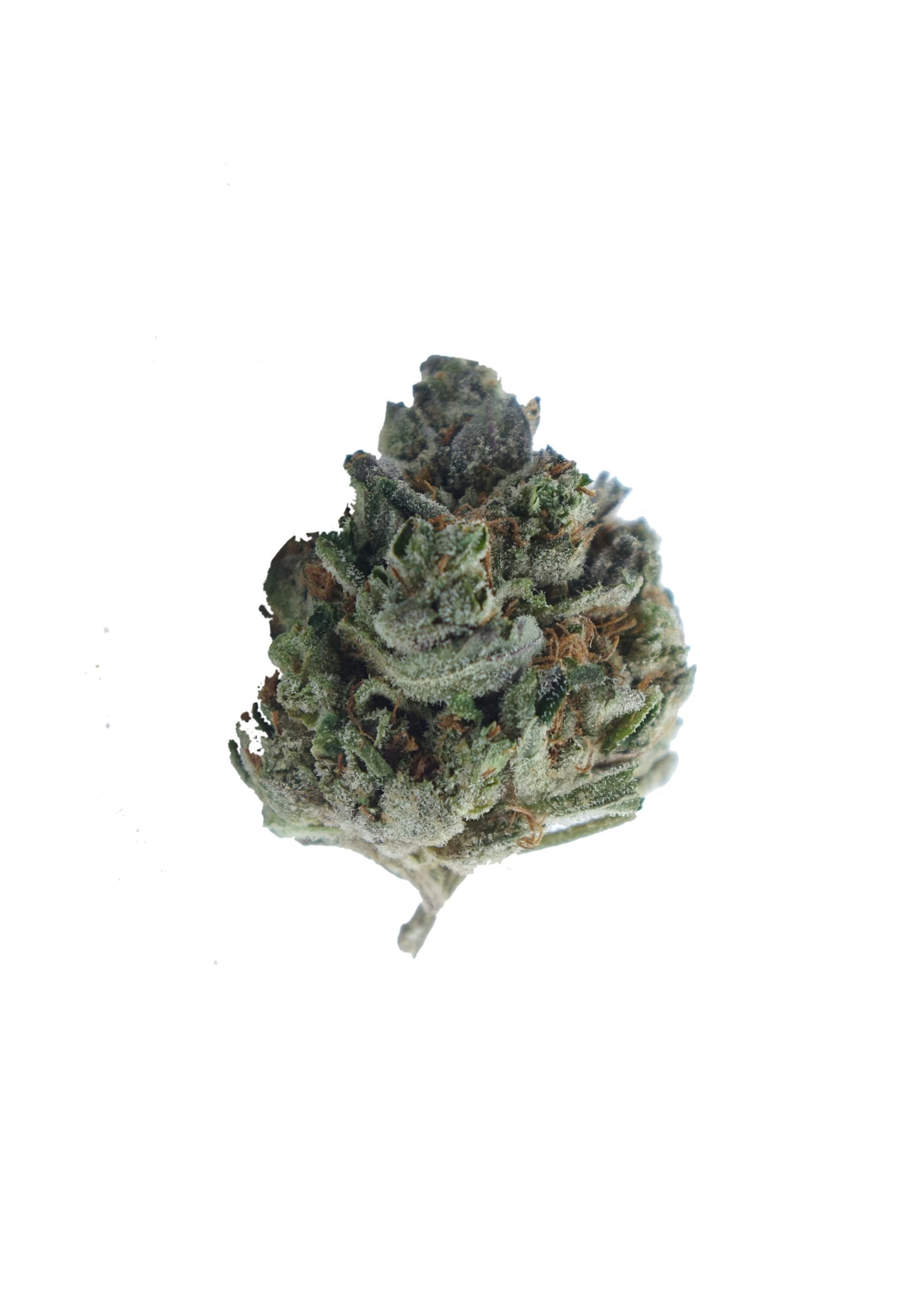 purple wookie bud scaled Purple Wookie Oz Special