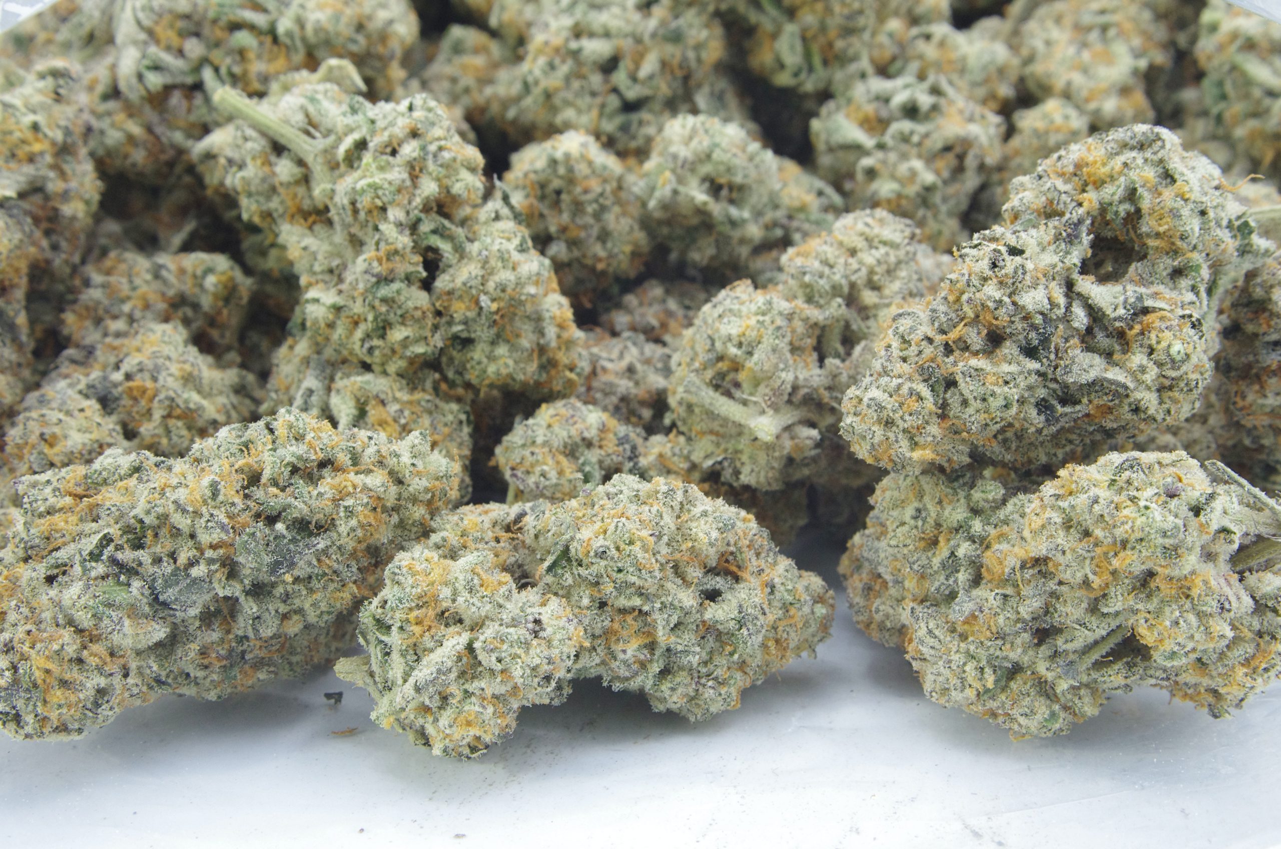 sour grapes bag scaled Sour Grapes Oz Special