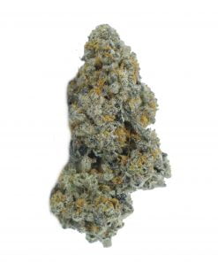 buy sour grapes