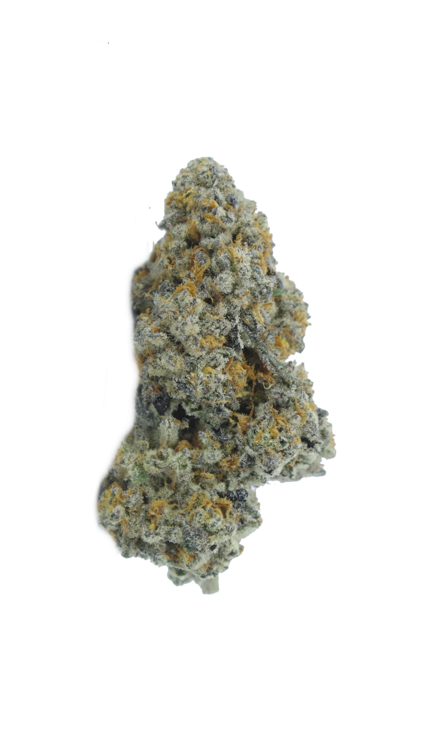 sour grapes bud scaled Sour Grapes Oz Special