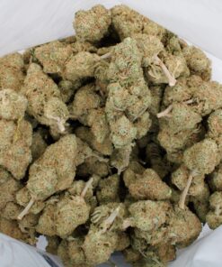 GSC Bag 1 Buy GSC Online Online