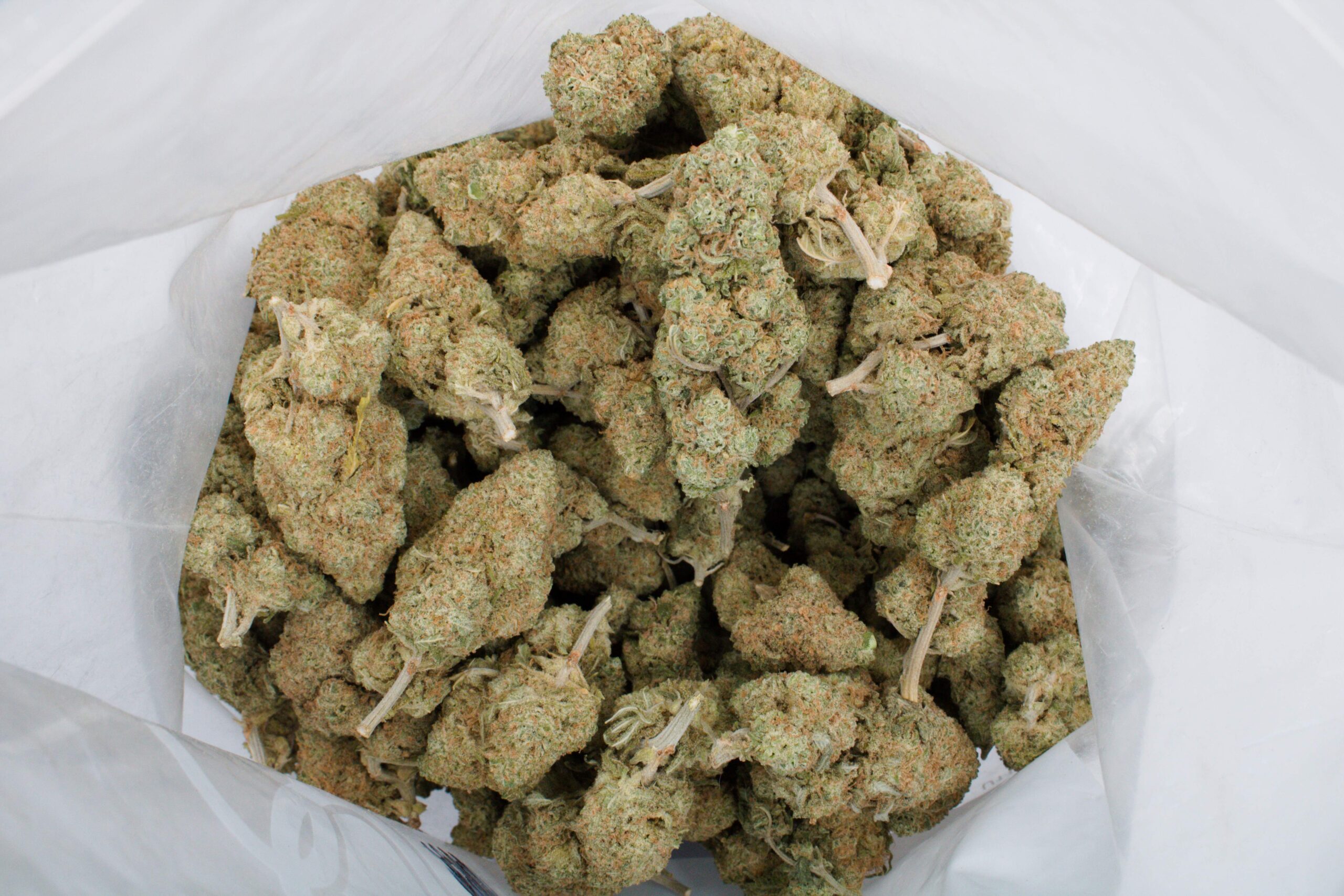 GSC Bag 1 scaled GSC (Oz Special)