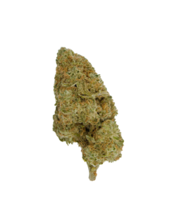 Buy GSC Online Online
