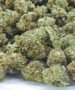 Grease monkey bag