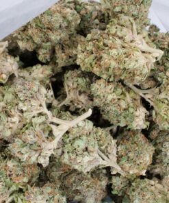 Haze OG Bag 1 Buy Haze OG Online