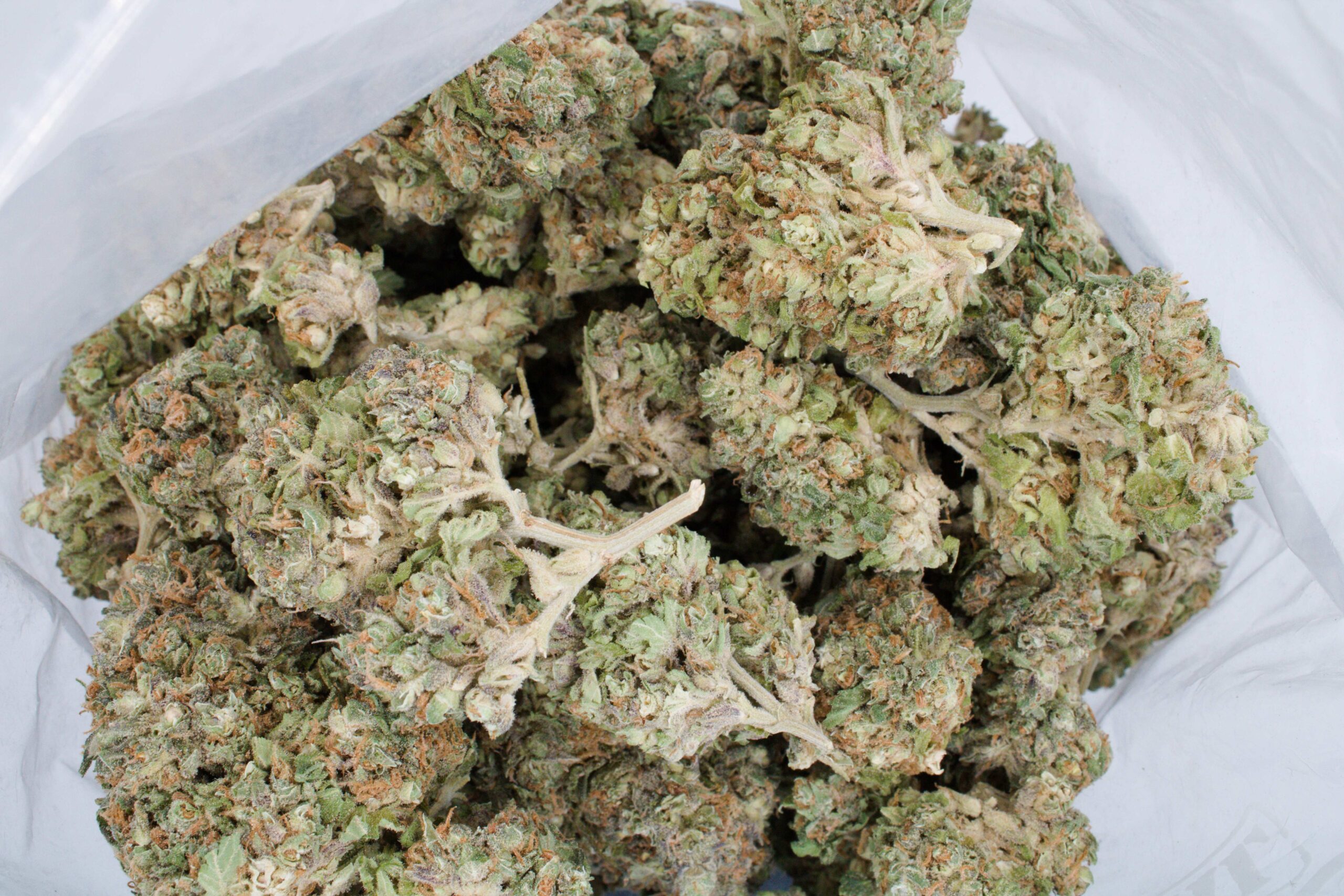 Haze OG Bag 1 scaled Haze OG (Oz special)