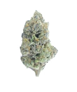 buy jet fuel online