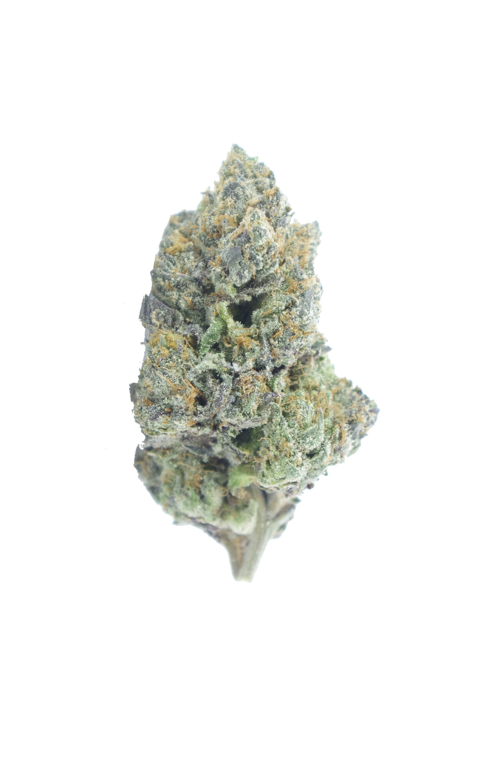 Jetfuel bud scaled Jet Fuel Oz Special