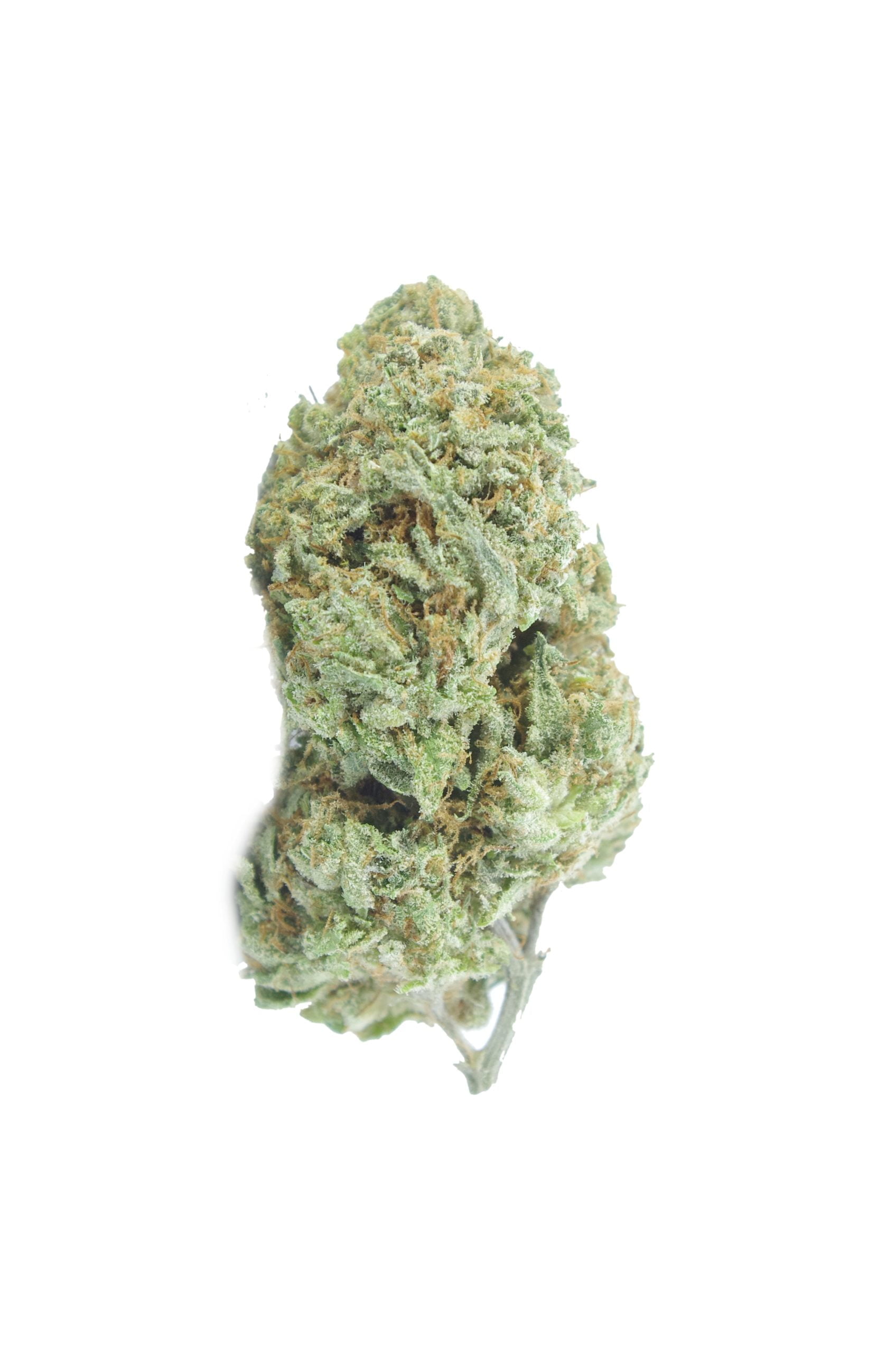Juicy fruit og bud scaled Juicy Fruit OG Grams