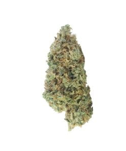 buy og x northern lights haze online