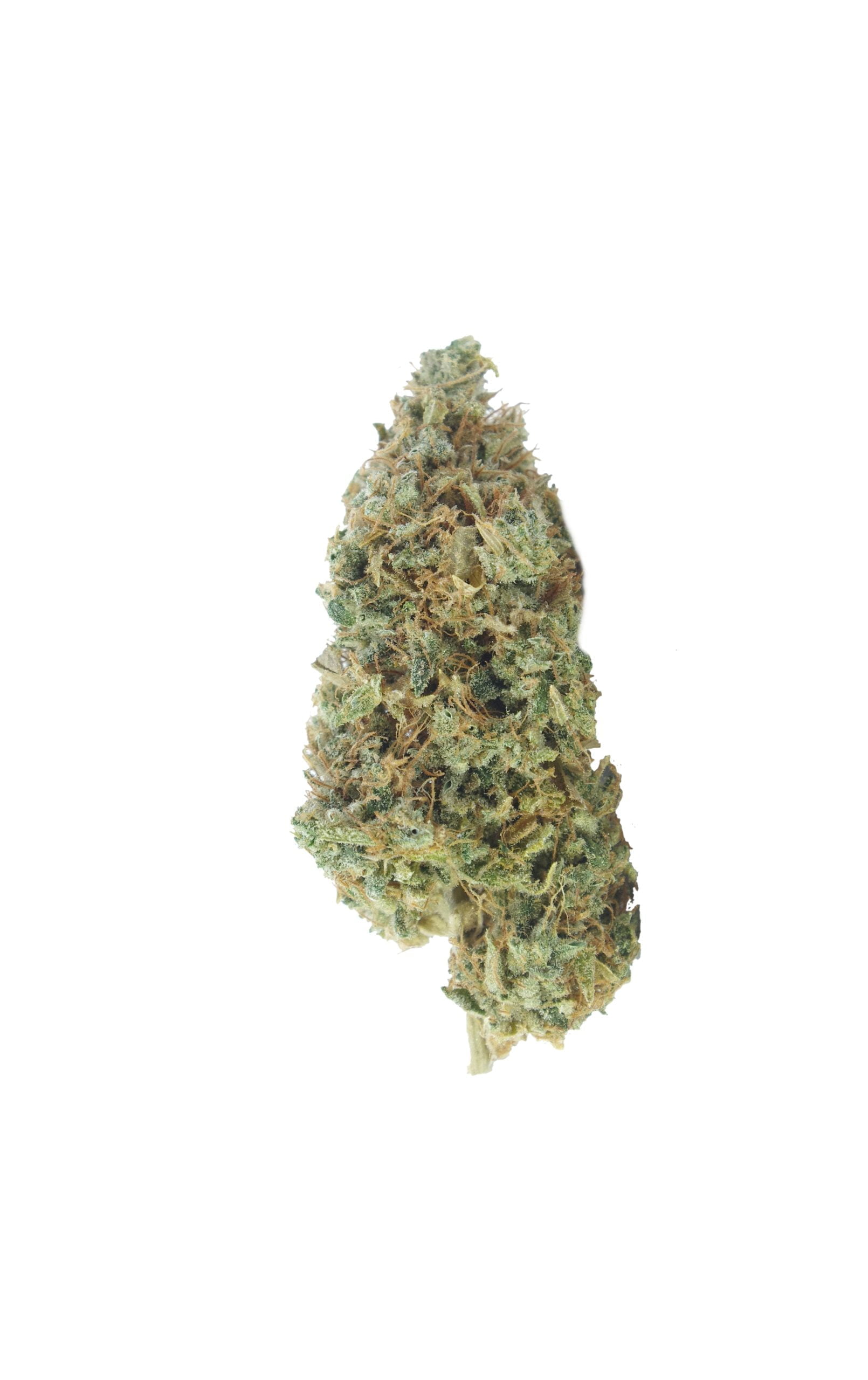 OGNL Haze bud scaled OG x Northern Lights Haze (LSO) Oz Special