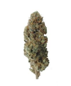 buy peach ringz gelato online