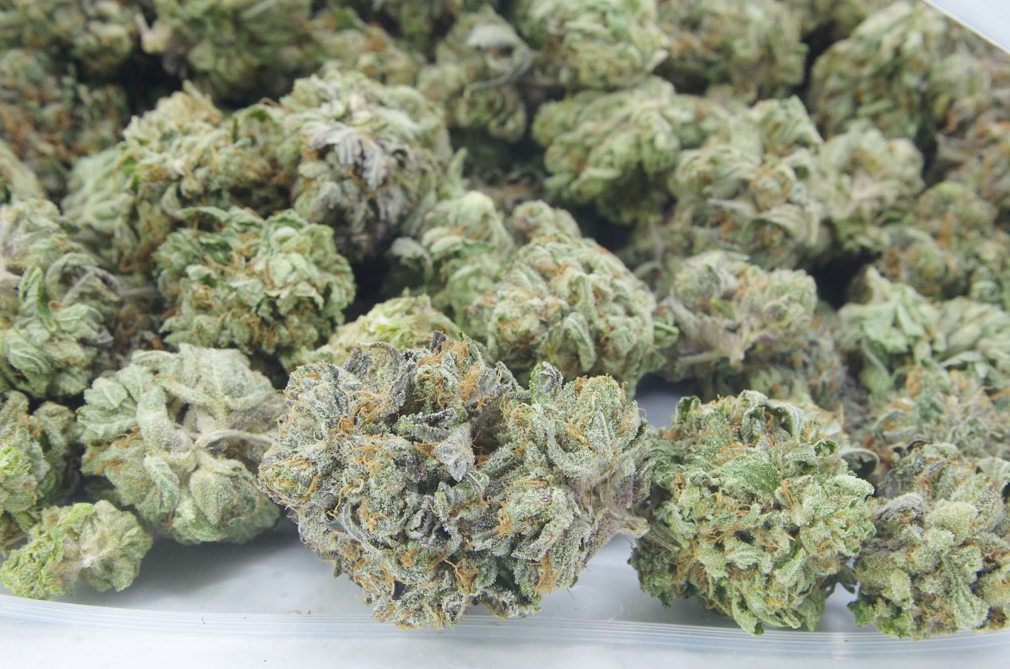 Triangle Kush bag Triangle Kush Oz Special