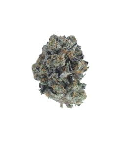 buy online