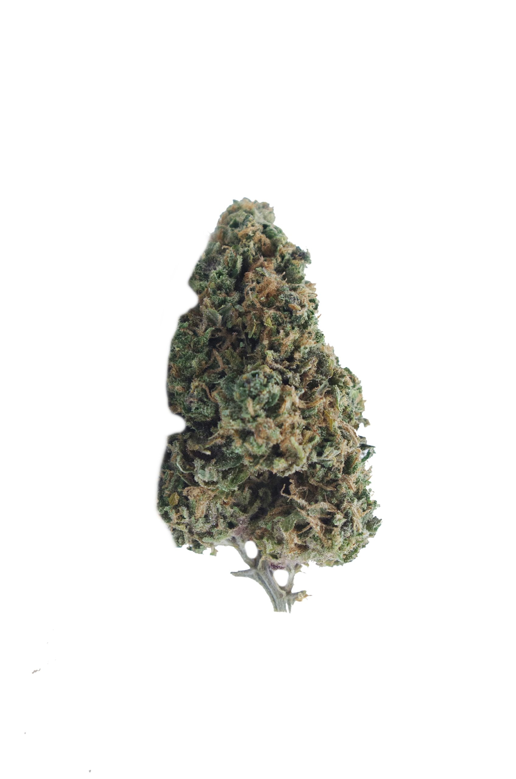 White widow bud scaled White Widow Grams