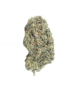 buy astro pink online