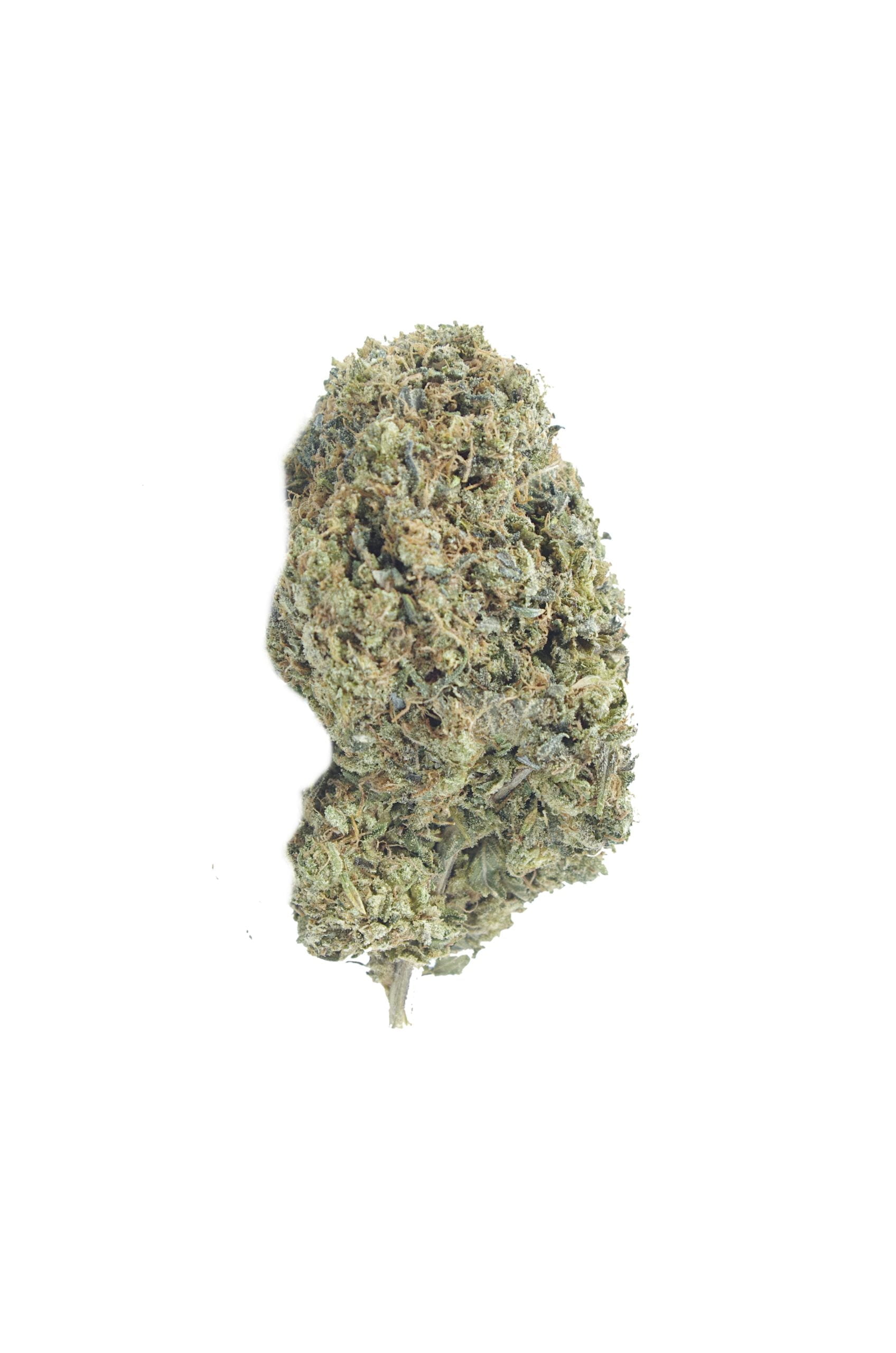 astro pink bud scaled Astro Pink Oz Special