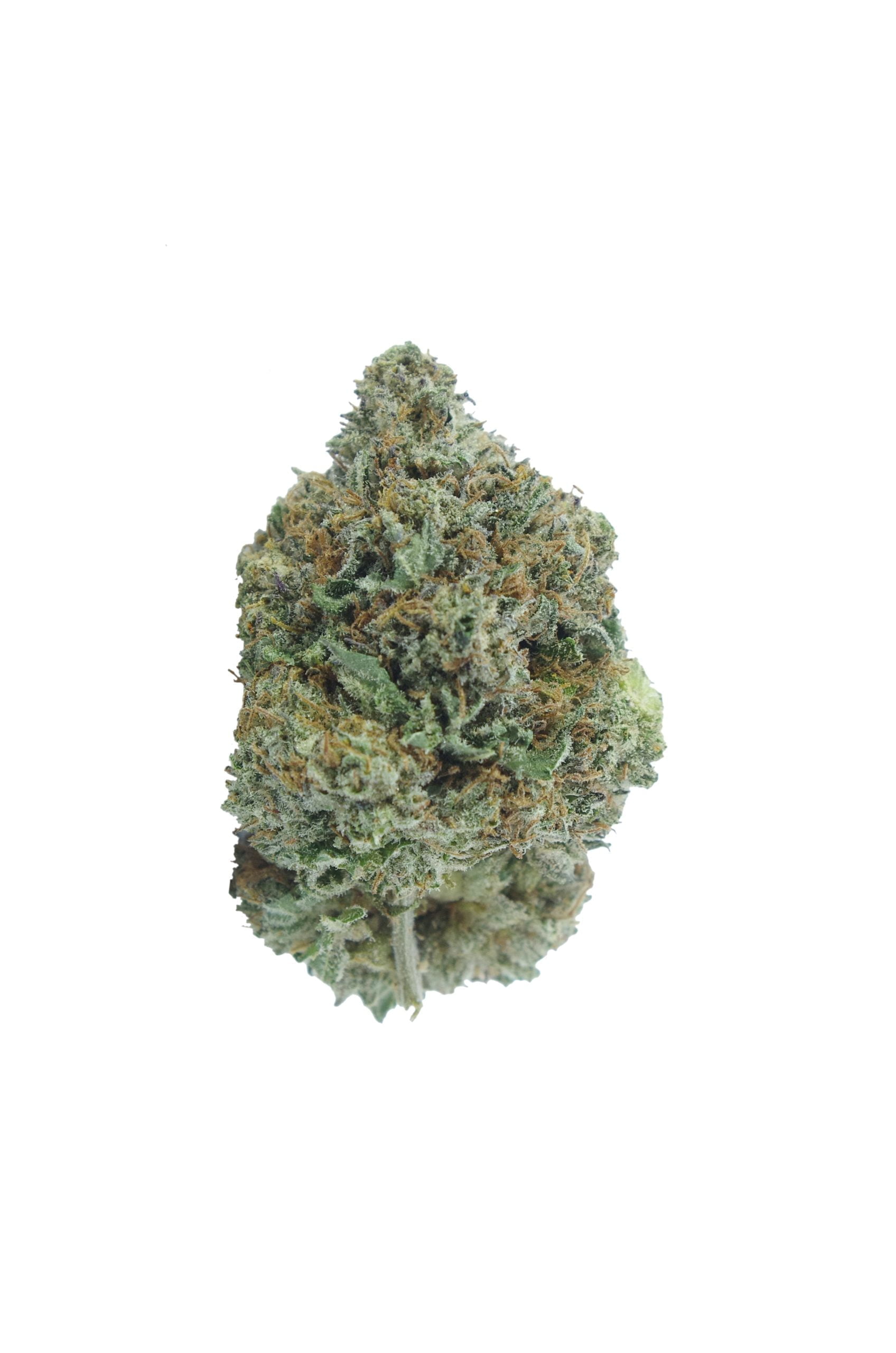 black diamond bud 2 scaled Black Diamond Oz Special