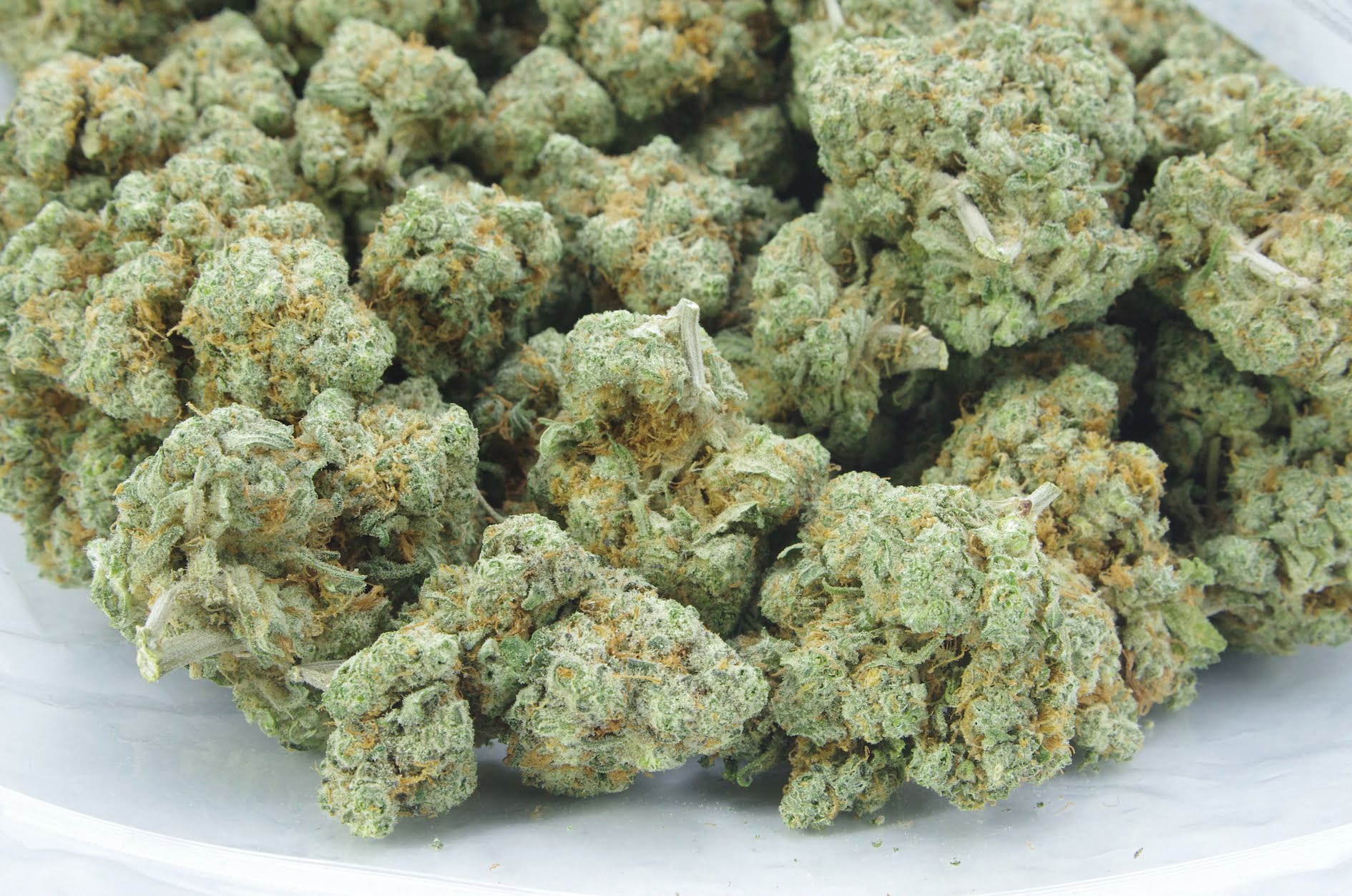 double OG bag Double OG Oz Special
