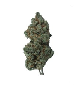 buy double og online