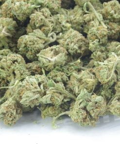 g13 hashplant bag