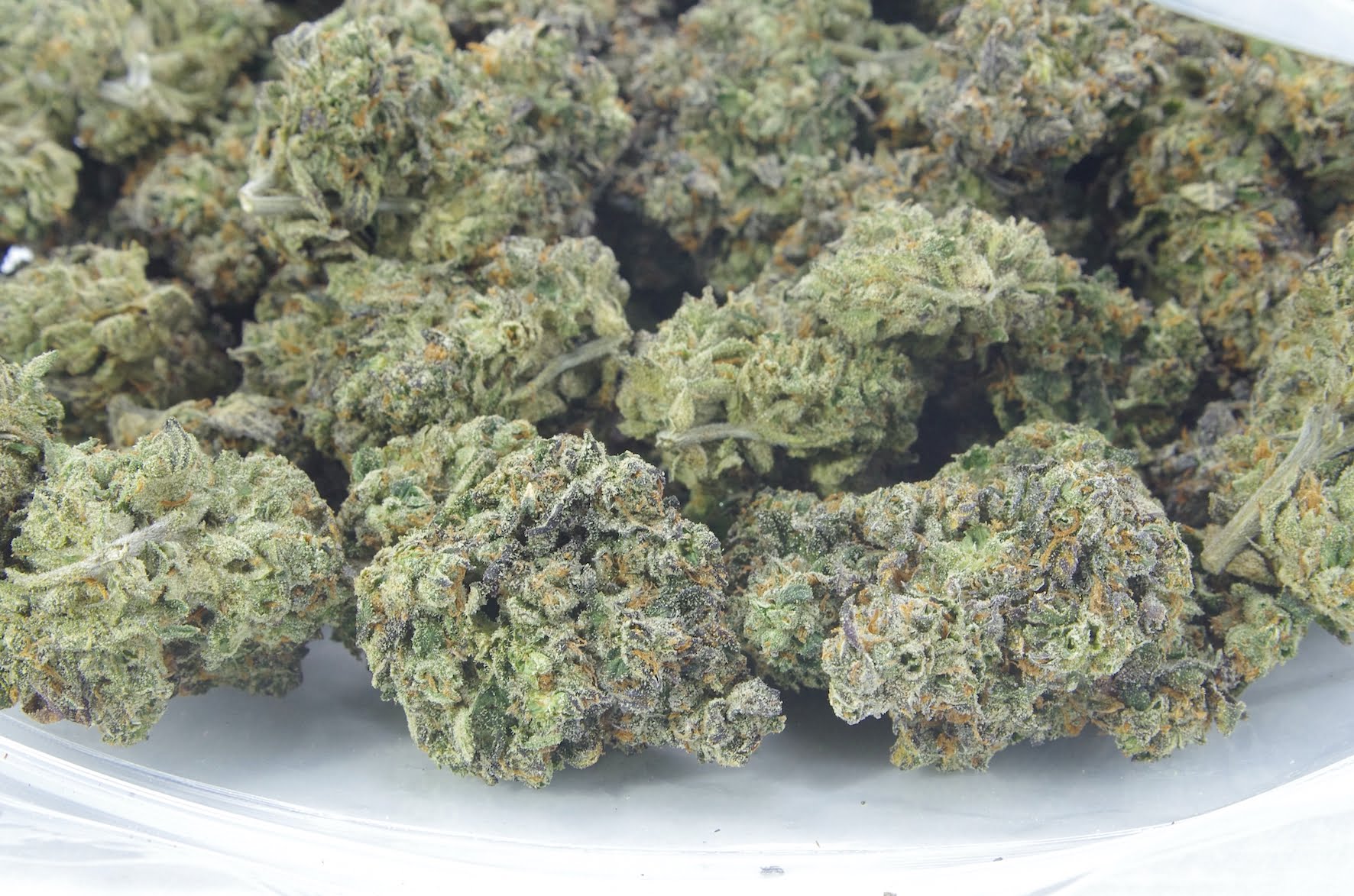 gelato mints bag Gelato Mints (Oz Special)