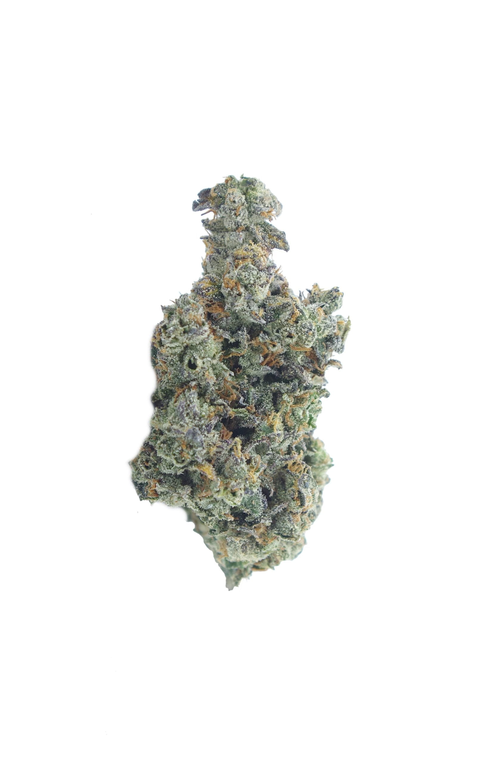 gelato mints bud scaled Gelato Mints (Oz Special)
