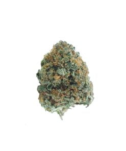 buy grease monkey online