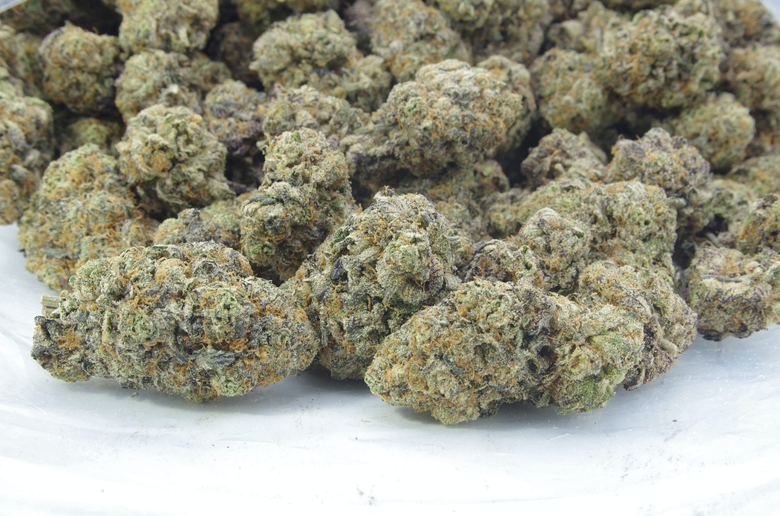 gusher cookies bag scaled Gusher Cookies (Oz Special)