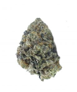 buy gusher cookies online