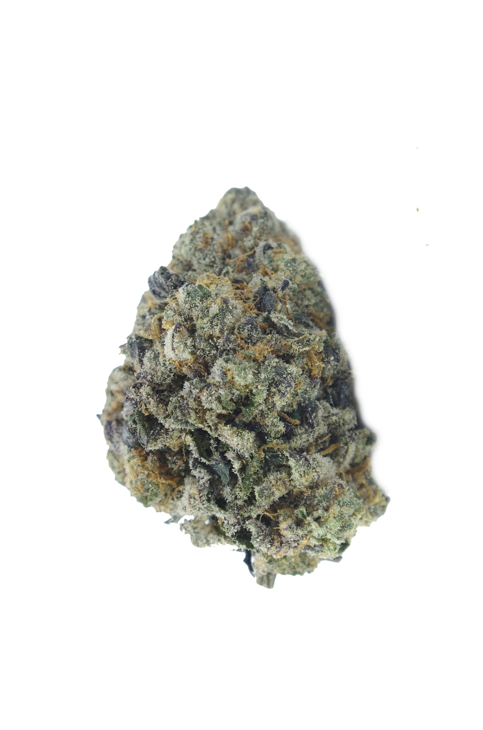 gusher cookies bud scaled Gusher Cookies (Oz Special)