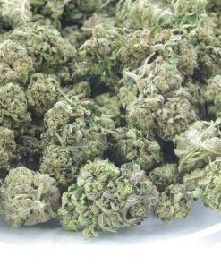 kings kush bag 2