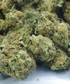 lemon diesel bag lemon diesel bag