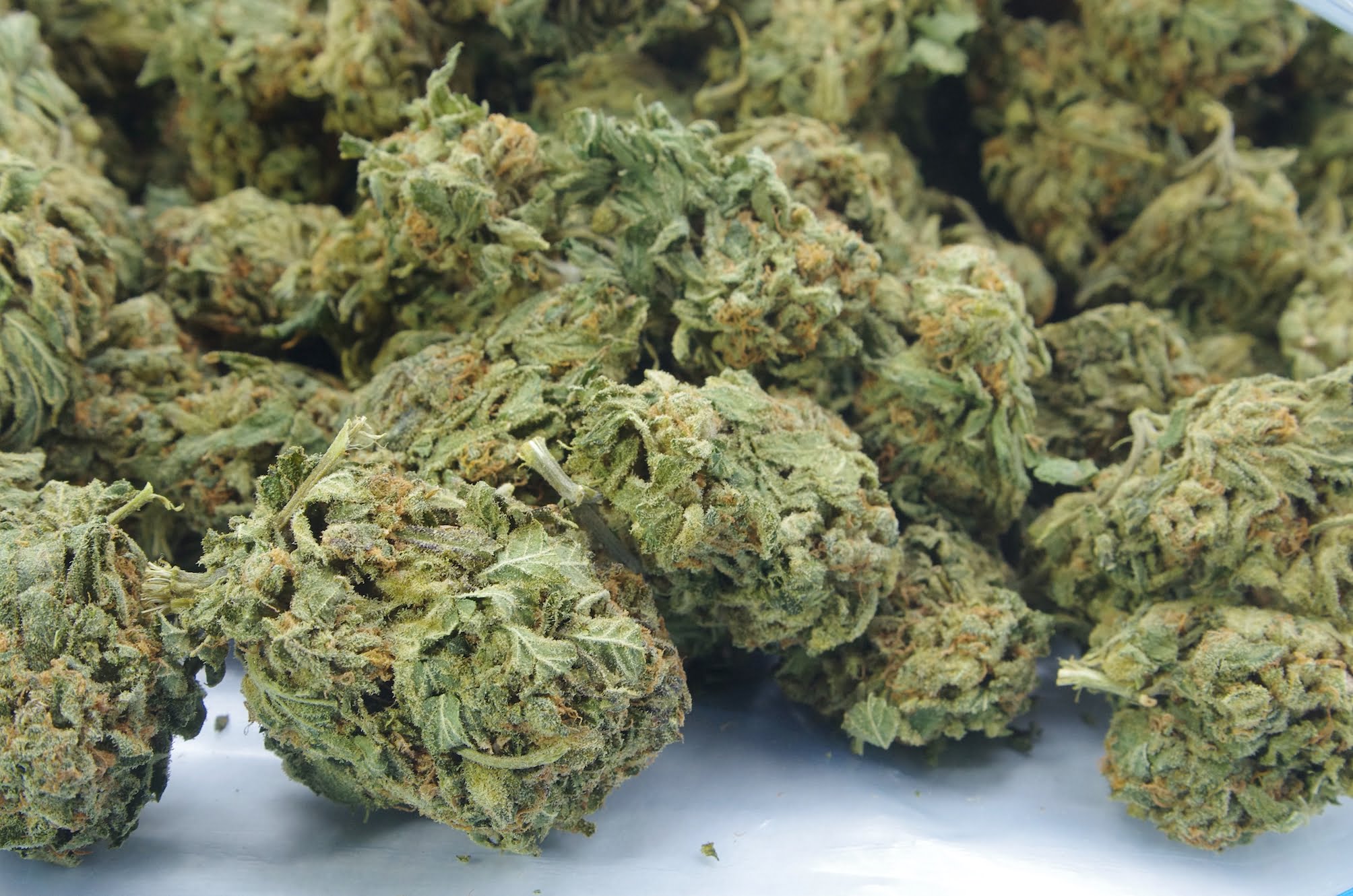 lemon diesel bag Lemon Diesel Oz Special