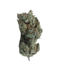 buy lemon runtz online