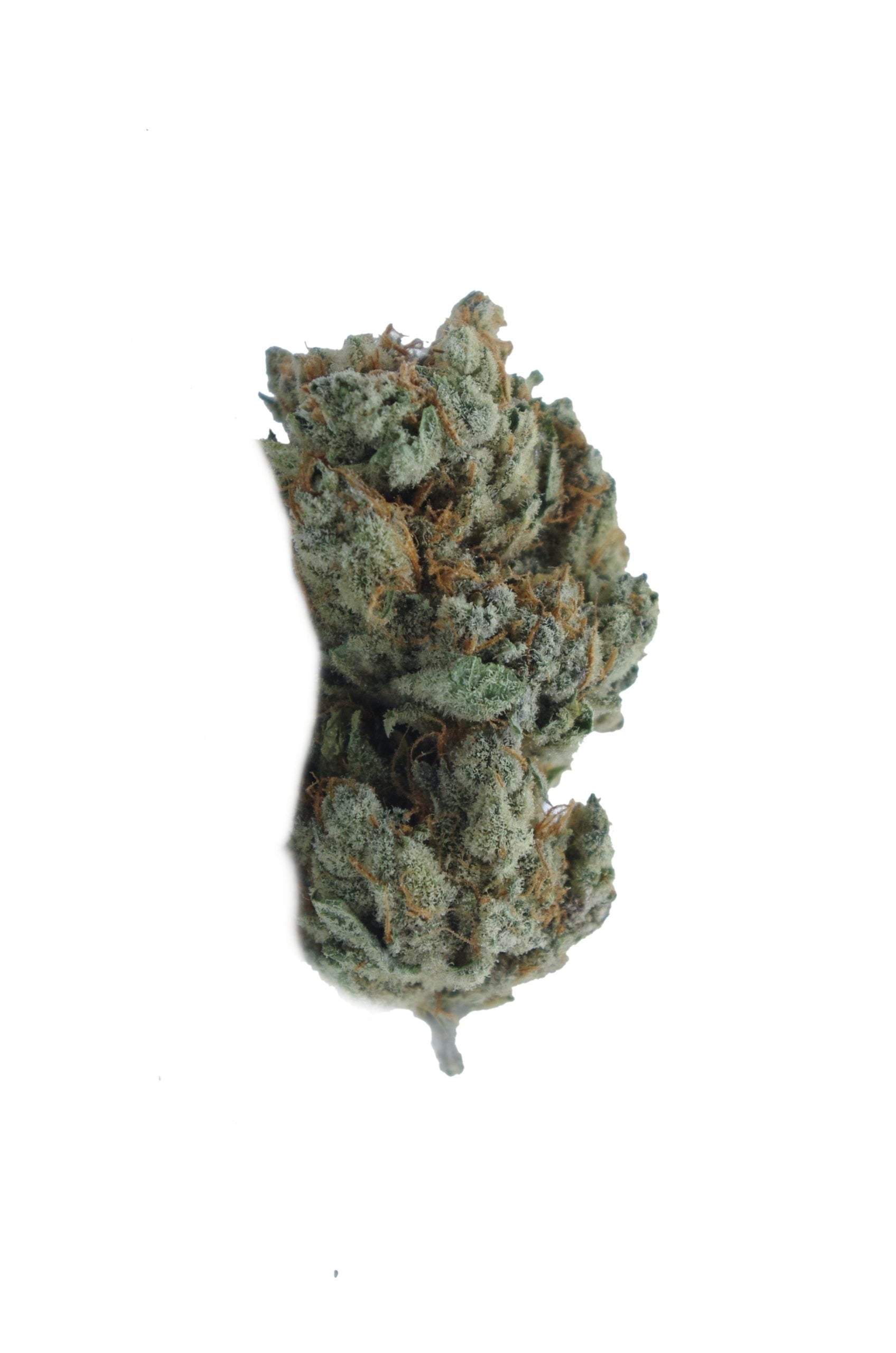 lemon runtz bud 2 scaled Lemon Runtz (Oz Special)