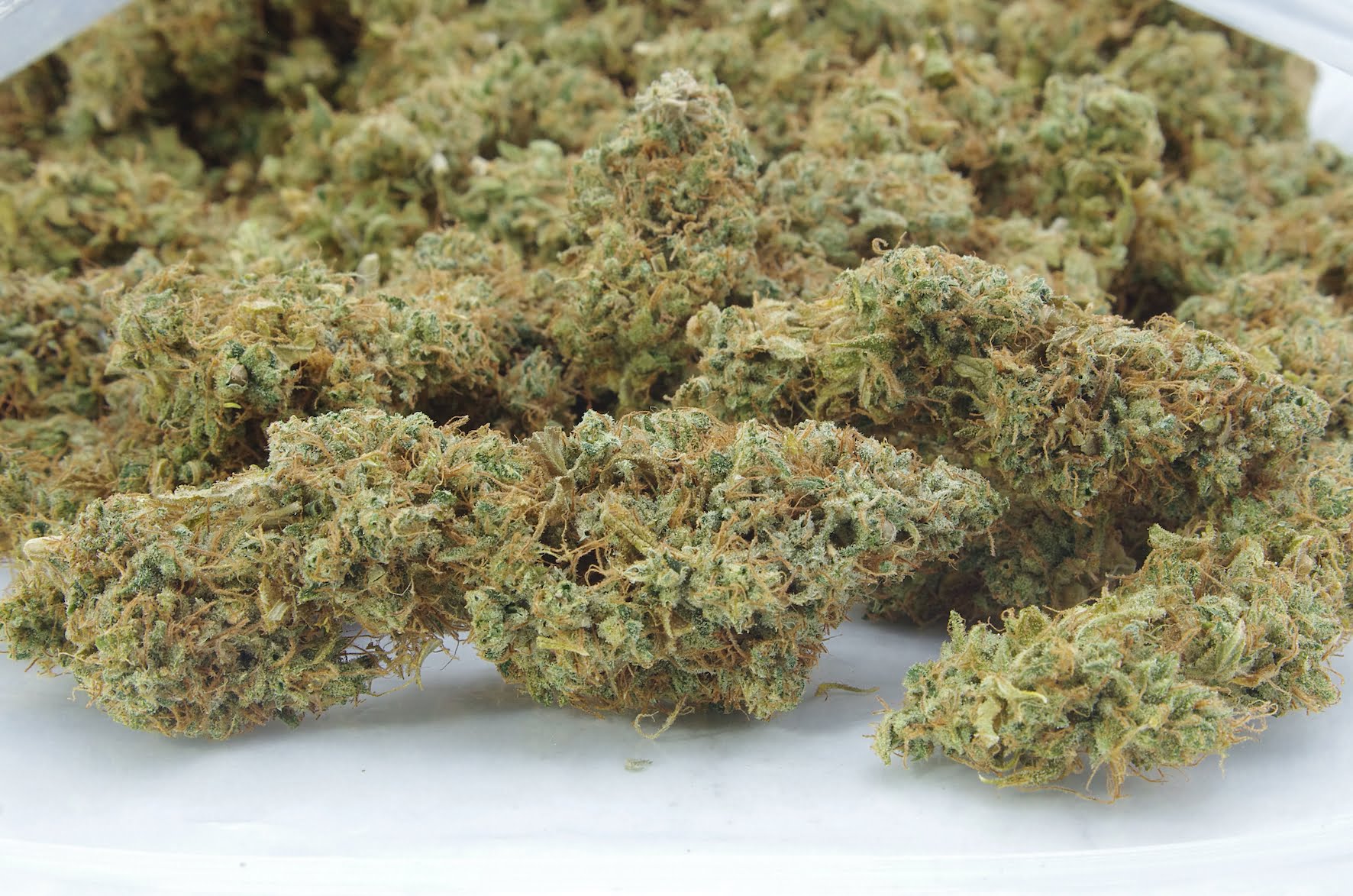 ognl haze bag OG x Northern Lights Haze (LSO) Oz Special