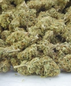 peach ringz gelato bag peach ringz gelato bag