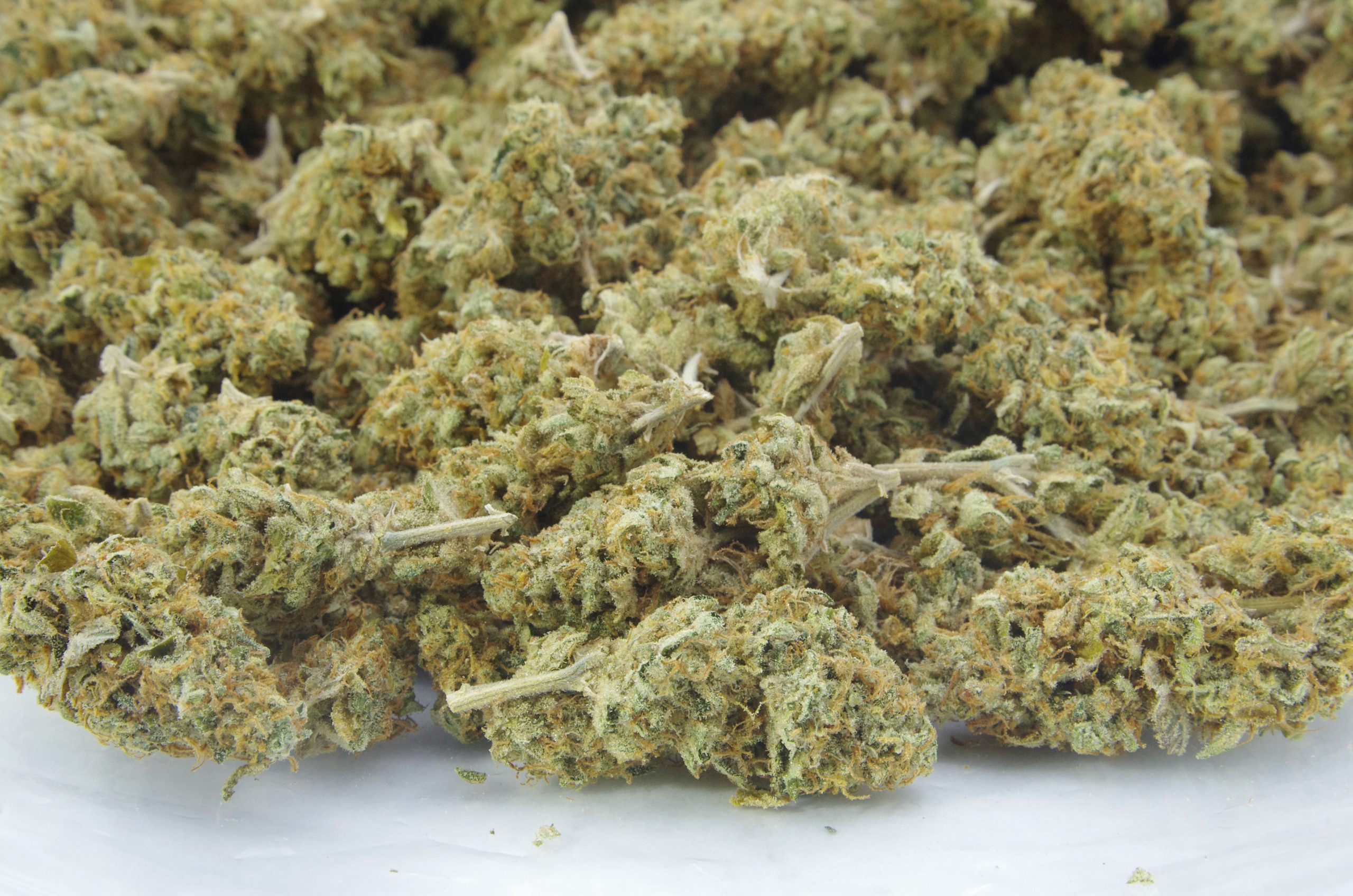 peach ringz gelato bag scaled Peach Ringz Gelato (Living Soil Organic) Oz Special