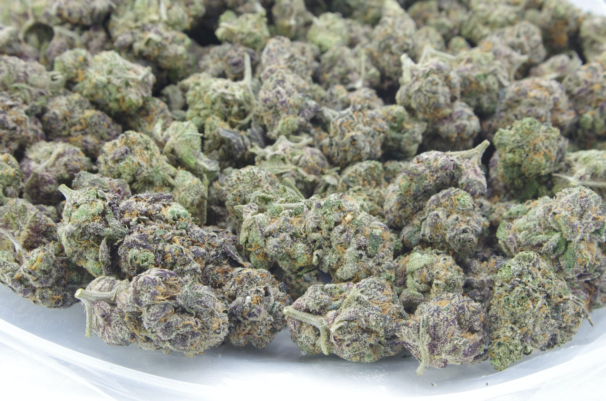 purple zkittlez bag scaled Purple Zkittlez Oz Special