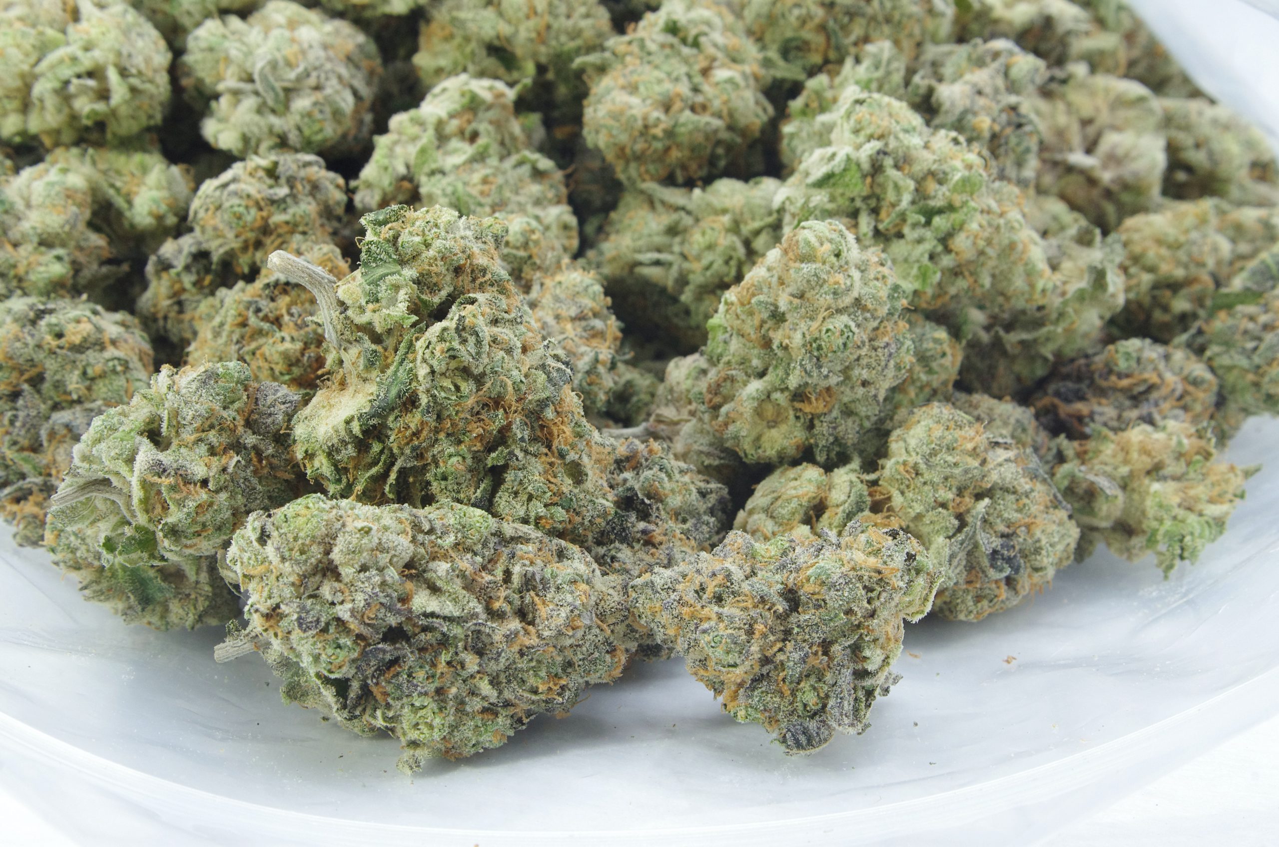 rainbow bag scaled Rainbow Kush Oz Special