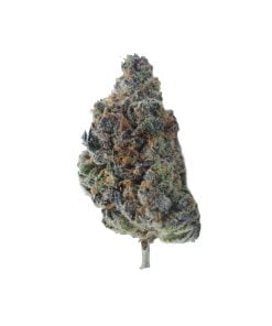 buy rainbow kush online