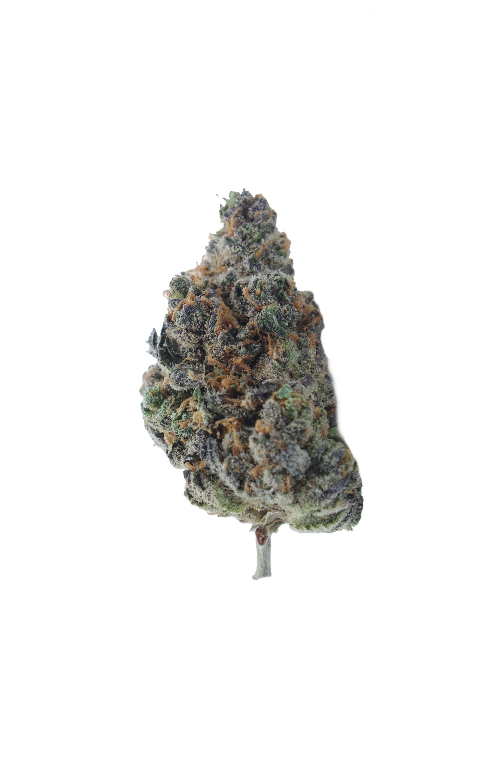 rainbow bud scaled Rainbow Kush Oz Special