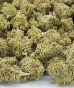 sfv og bag sfv og bag