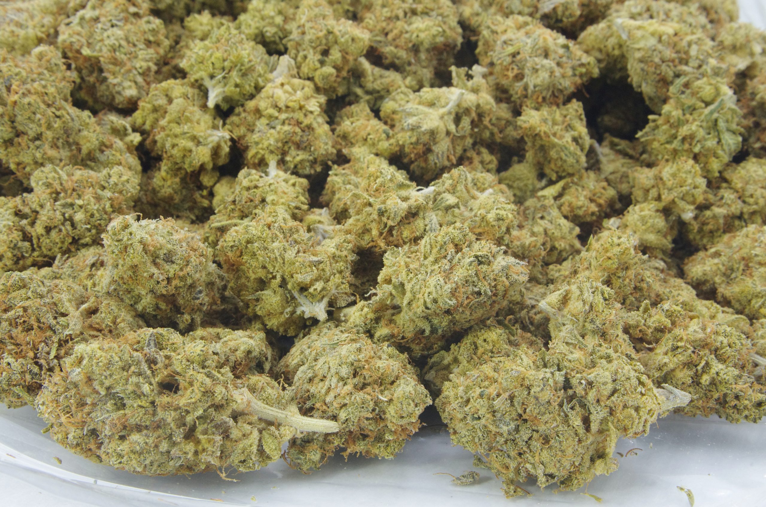 sfv og bag scaled SFV OG Oz Special